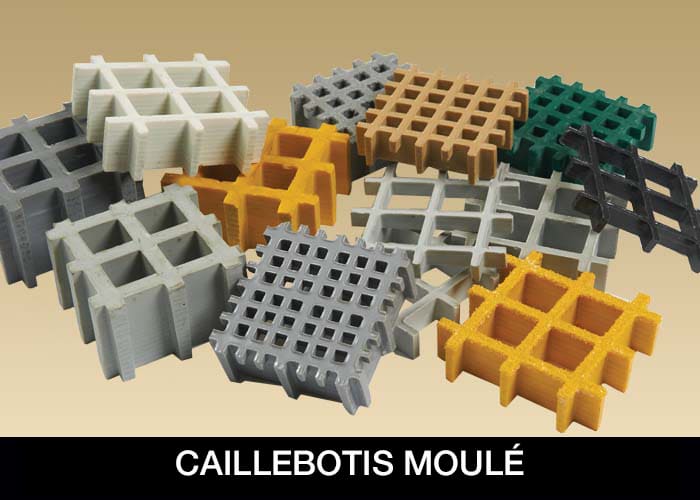 CAILLEBOTIS MOULÉ